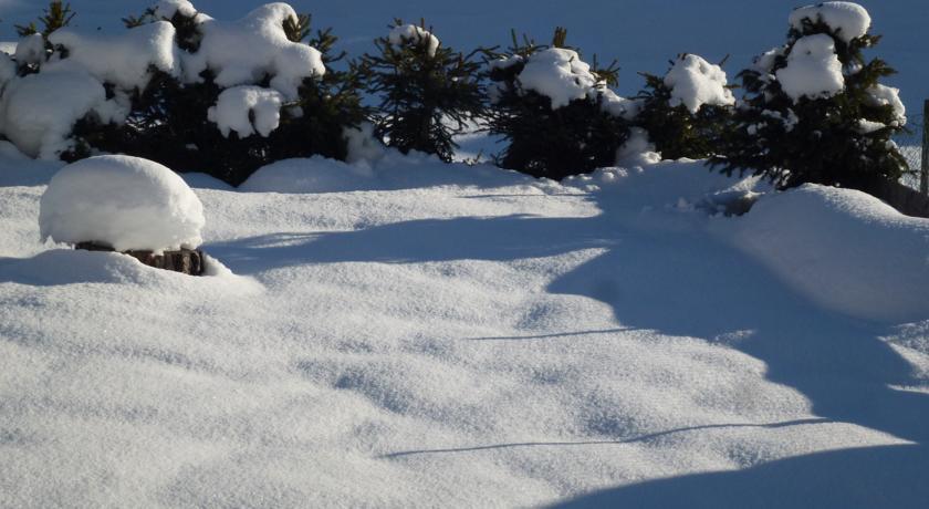 Cedepuent De Sot Daire Selva di Val Gardena Oda fotoğraf