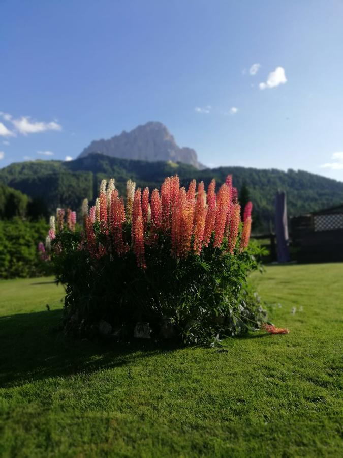 Cedepuent De Sot Daire Selva di Val Gardena Dış mekan fotoğraf